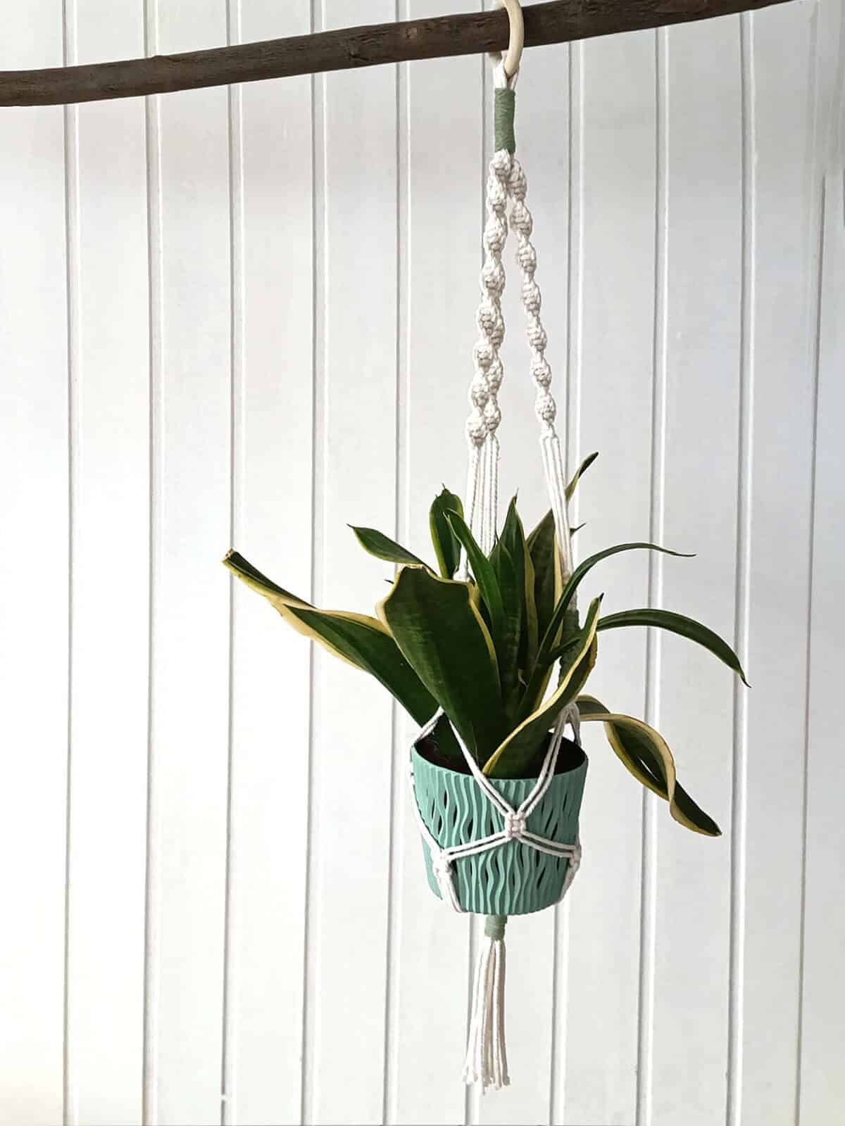 colgador de plantas de macramé